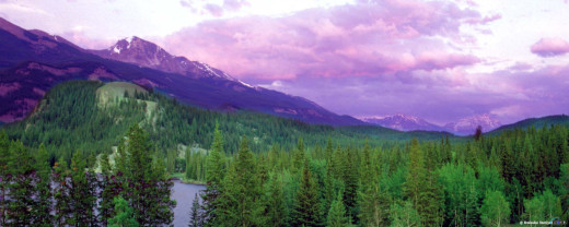 433973 (a): :2560x1024